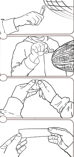 Animation